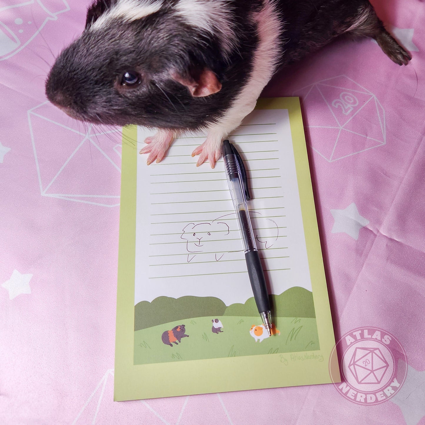 Guinea Pigs Large Notepad - 8.5in x 5.5in Non-Sticky Tear-Away Memo Notepad 50 Pages - Grocery, Shopping, To-Do List