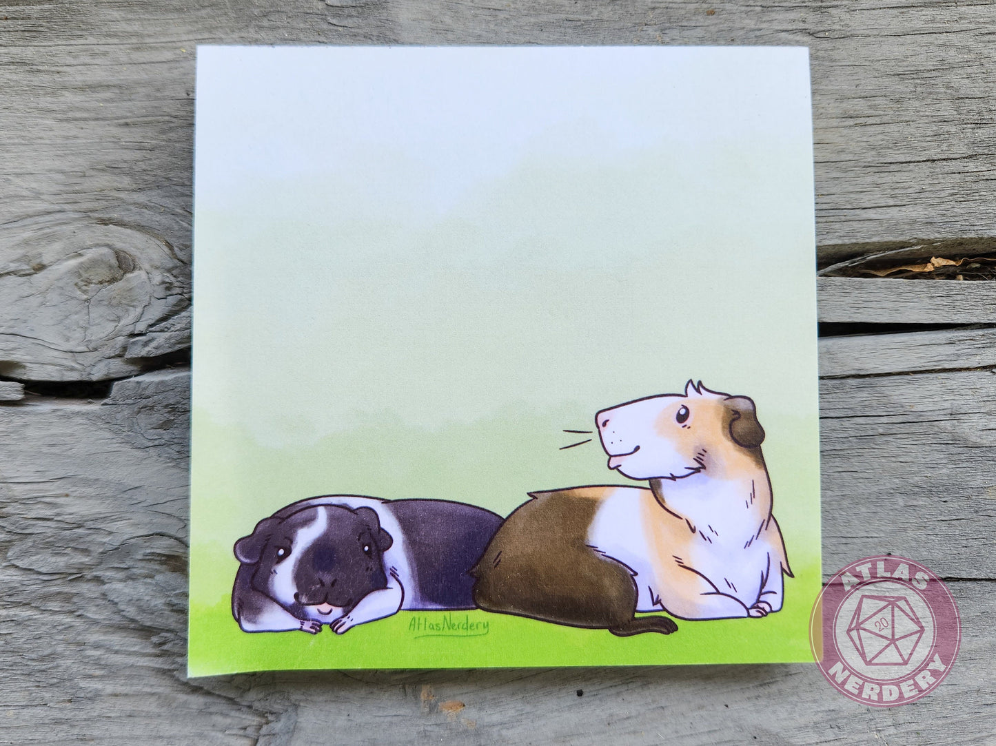 Guinea Pig Small Notepad - 4in x 4in Non-Sticky Tear-Away Memo Notepad 50 Pages