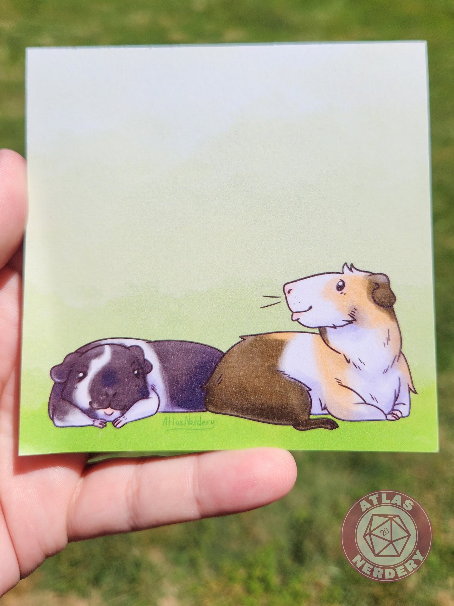 Guinea Pig Small Notepad - 4in x 4in Non-Sticky Tear-Away Memo Notepad 50 Pages