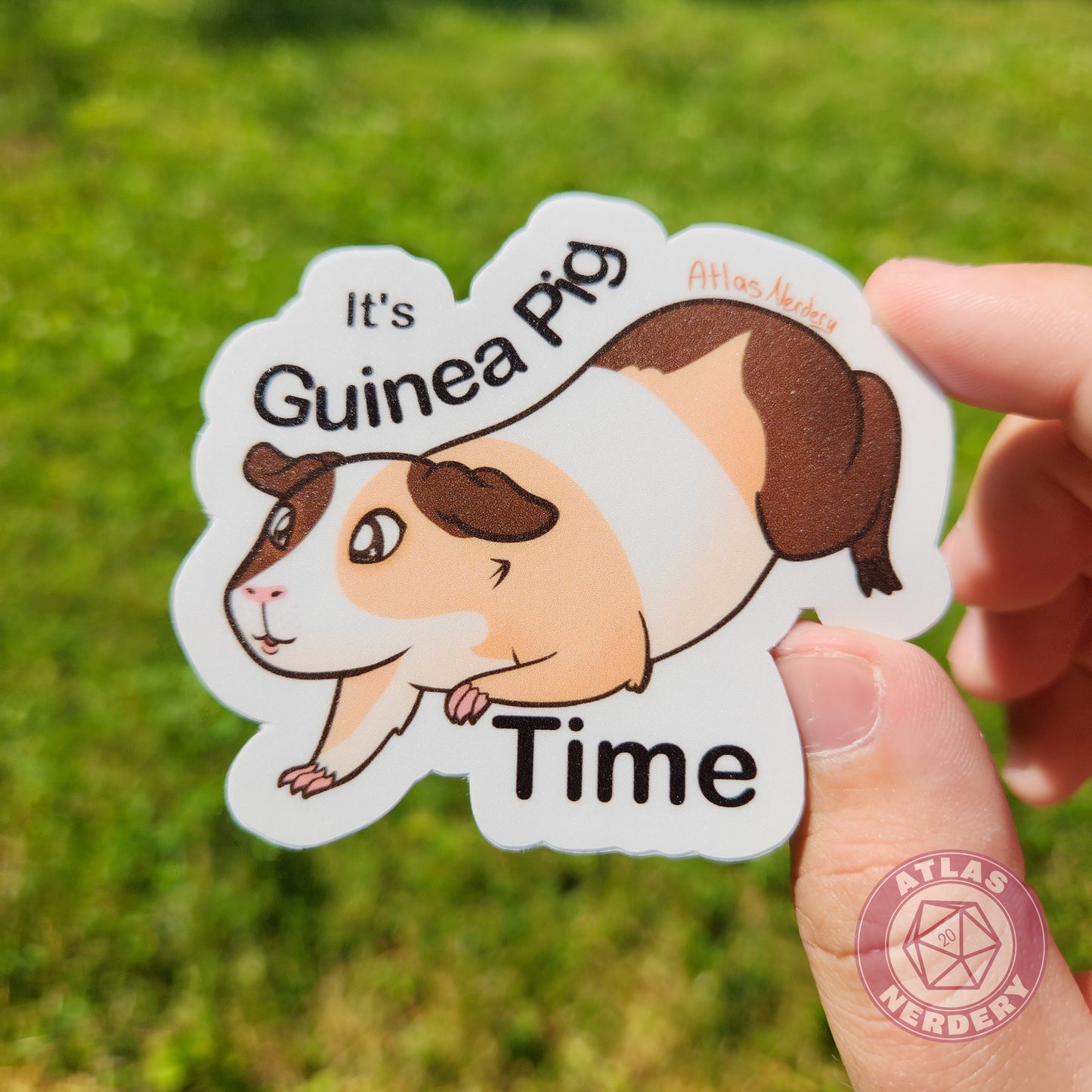 It's Guinea Pig Time - 3" Waterproof Vinyl Sticker (VERSION 2)