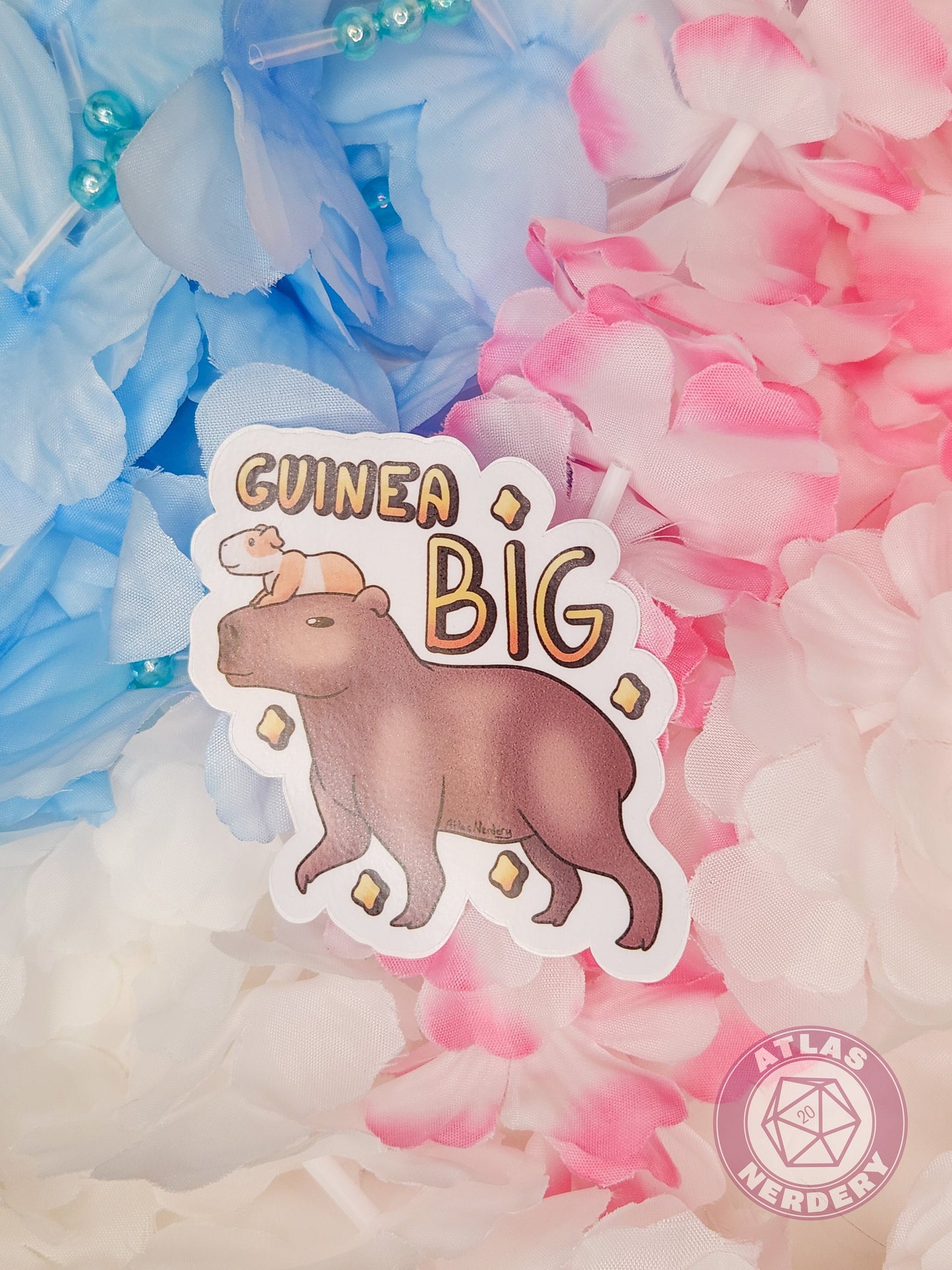 Guinea Big - 3" Waterproof Vinyl Sticker