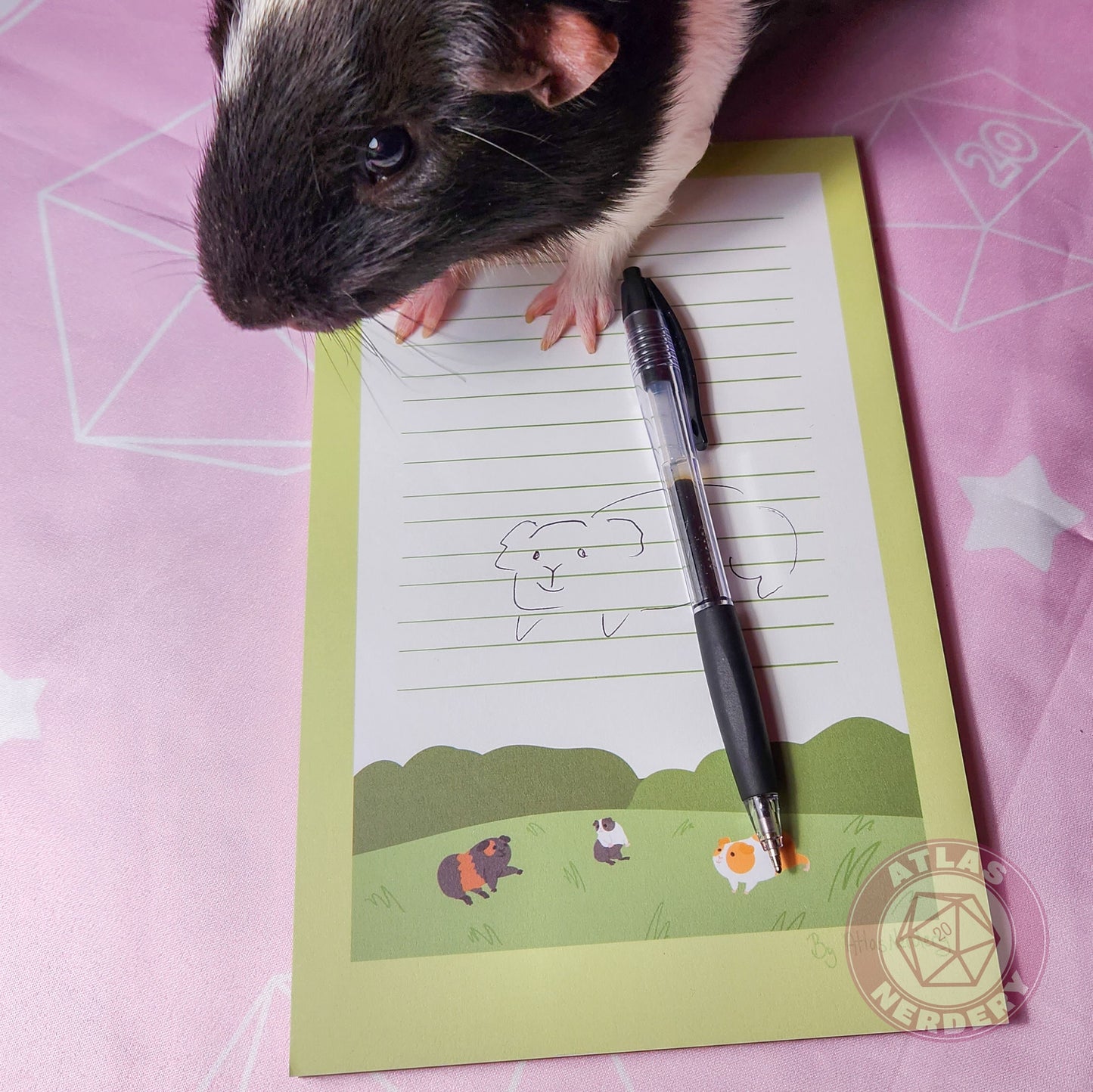 Guinea Pigs Large Notepad - 8.5in x 5.5in Non-Sticky Tear-Away Memo Notepad 50 Pages - Grocery, Shopping, To-Do List