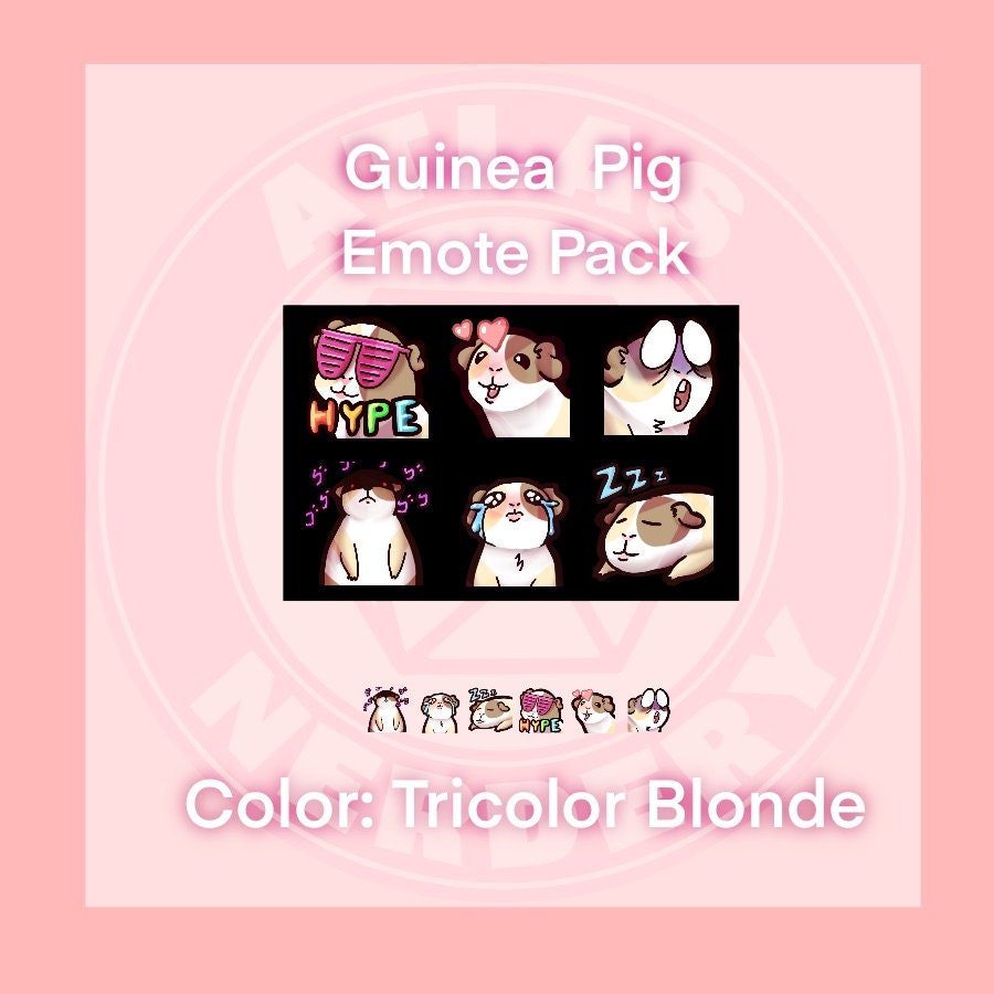 Tricolor Guinea Pig Emote 6 Pack - 6 Reaction Emotes for Twitch, Discord, YouTube, Streaming Chat Etc