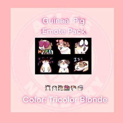 Tricolor Guinea Pig Emote 6 Pack - 6 Reaction Emotes for Twitch, Discord, YouTube, Streaming Chat Etc