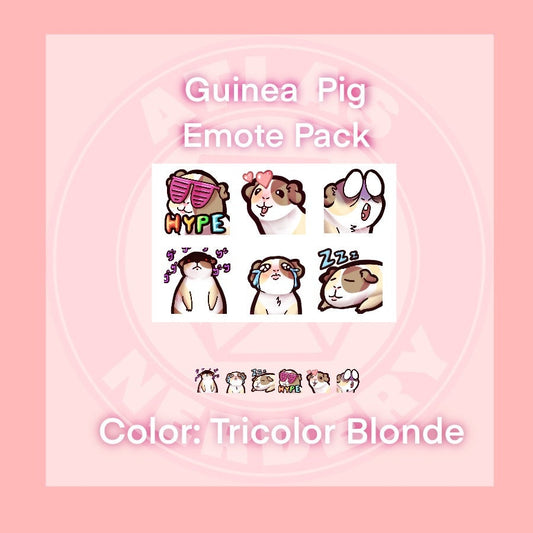 Tricolor Guinea Pig Emote 6 Pack - 6 Reaction Emotes for Twitch, Discord, YouTube, Streaming Chat Etc
