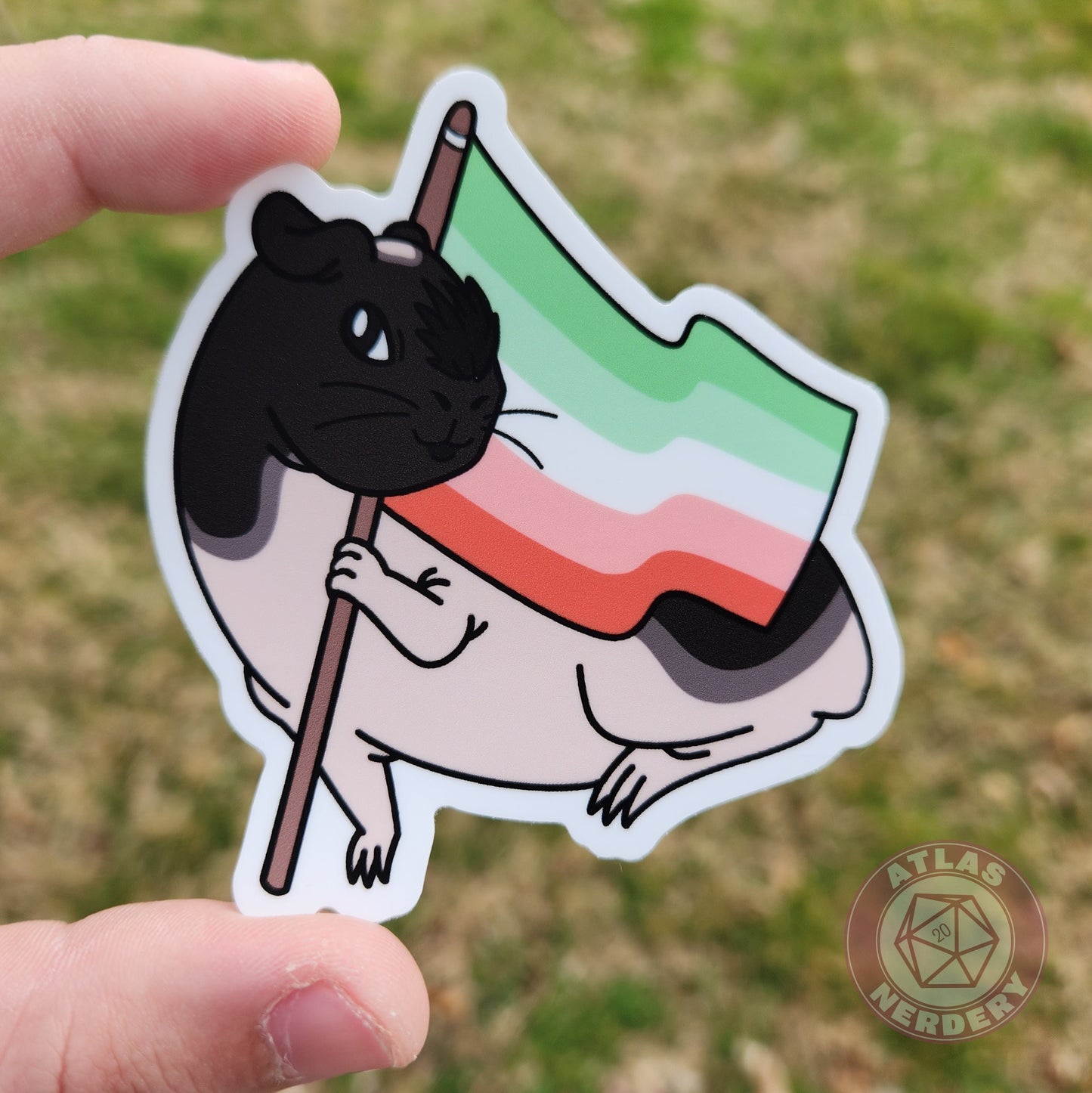 Abrosexual Guinea Pig Pride Flag - 3" Waterproof Vinyl Sticker