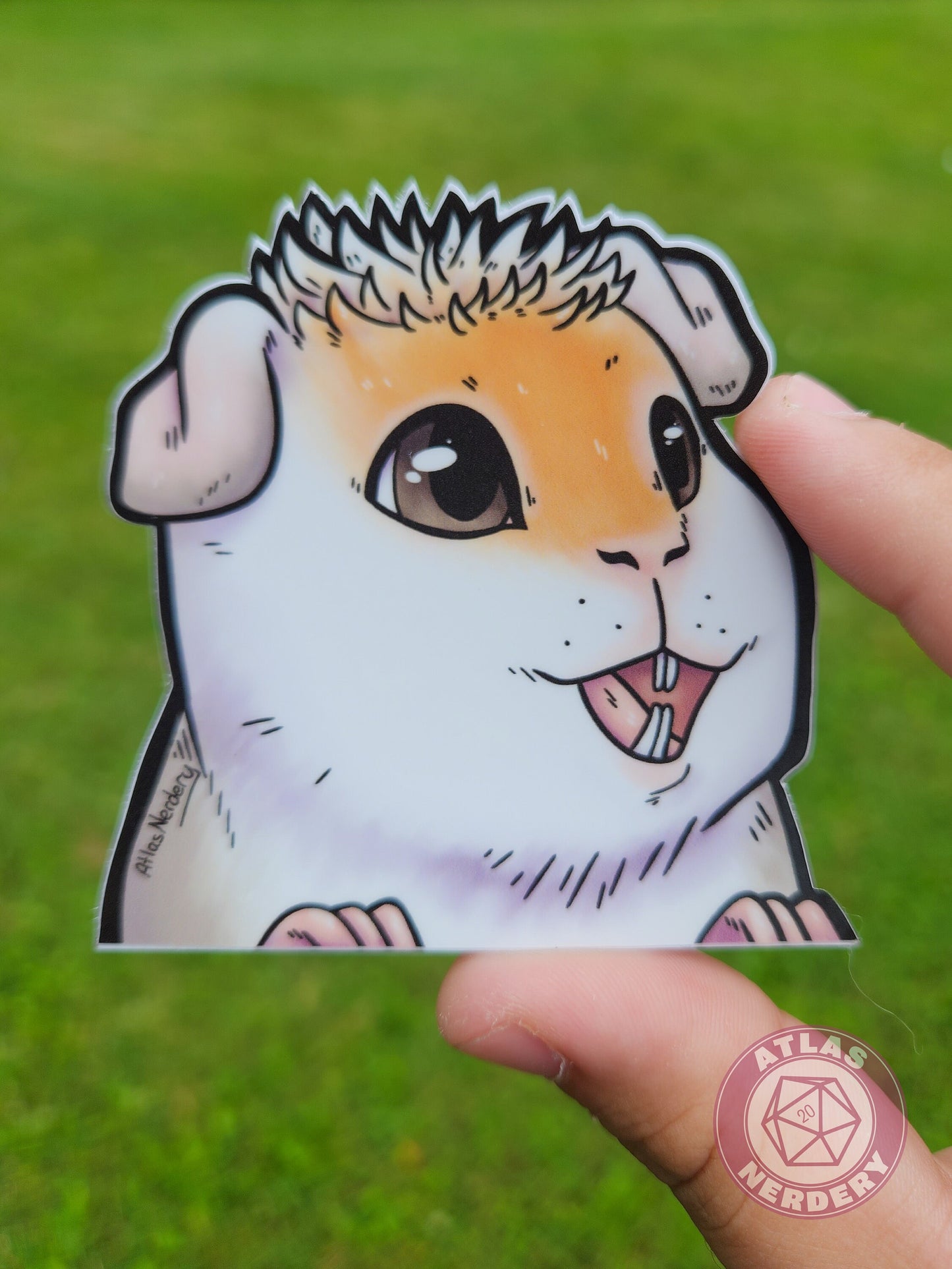 Potassium the Guinea Pig Peeker Sticker - 3" Waterproof Vinyl Sticker