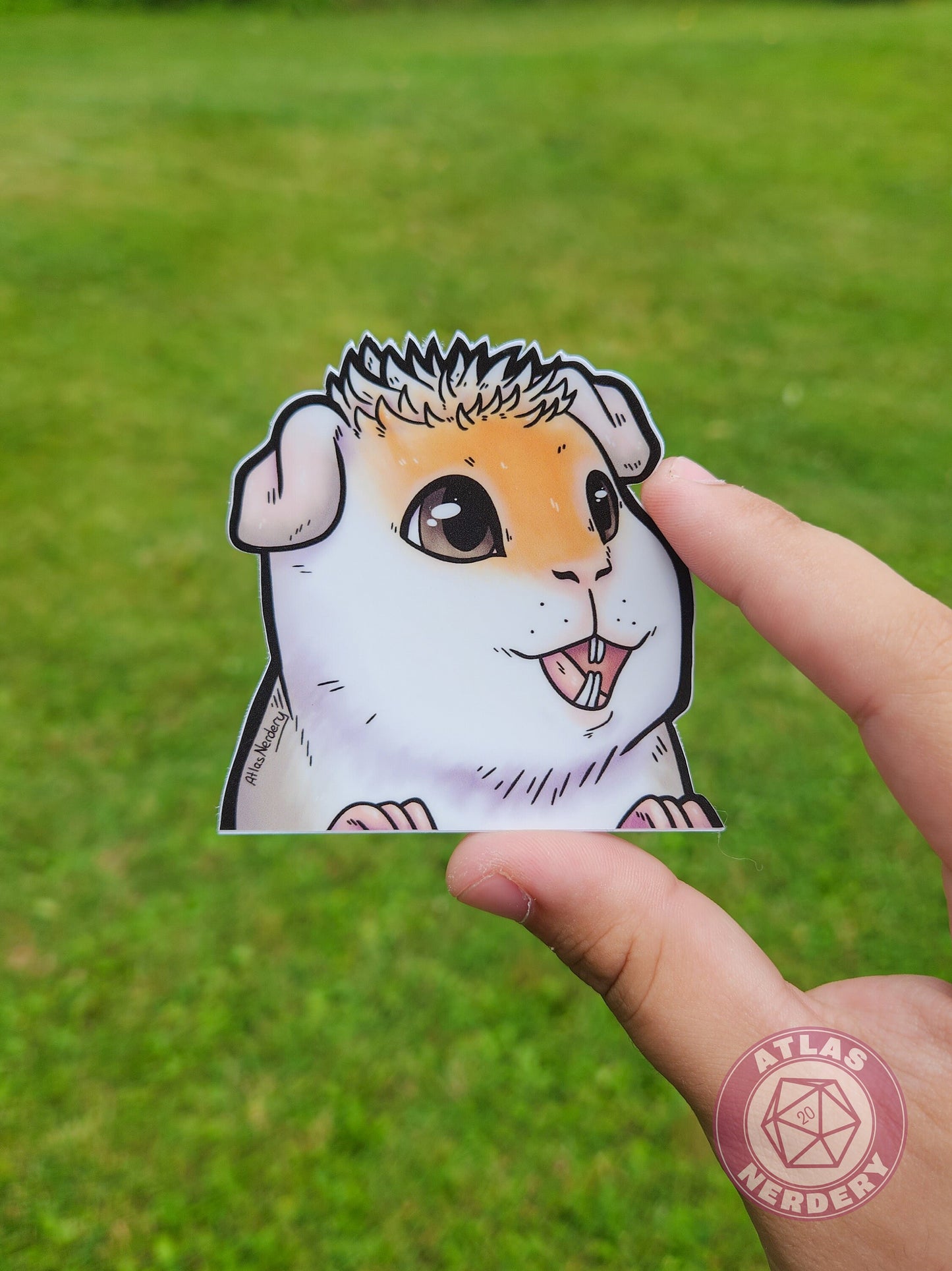 Potassium the Guinea Pig Peeker Sticker - 3" Waterproof Vinyl Sticker